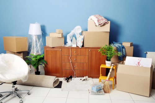 Organized household storage boxes and furniture in Parkroyal